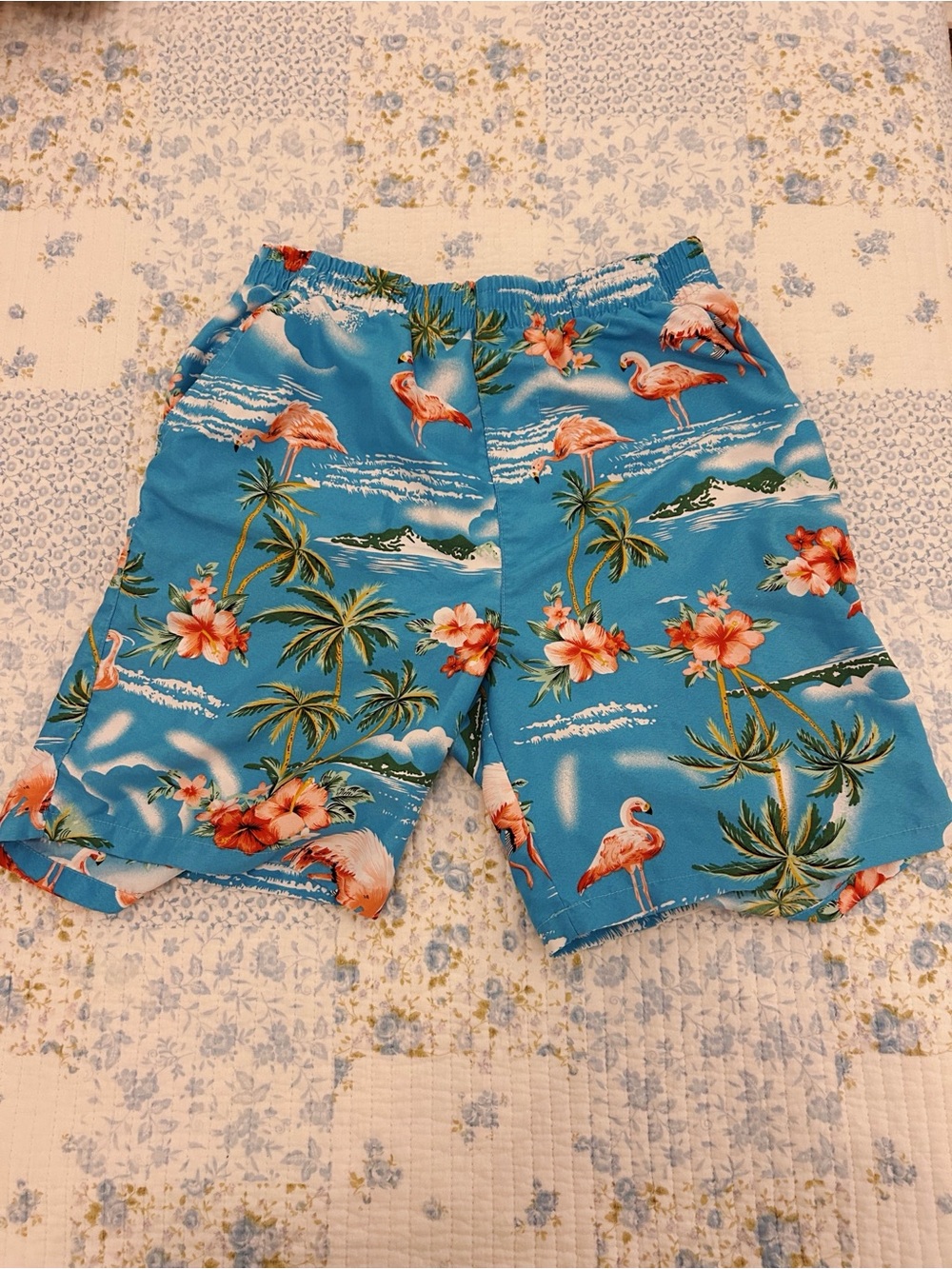 Men's Flamingo Palm Swim Trunks - Blue